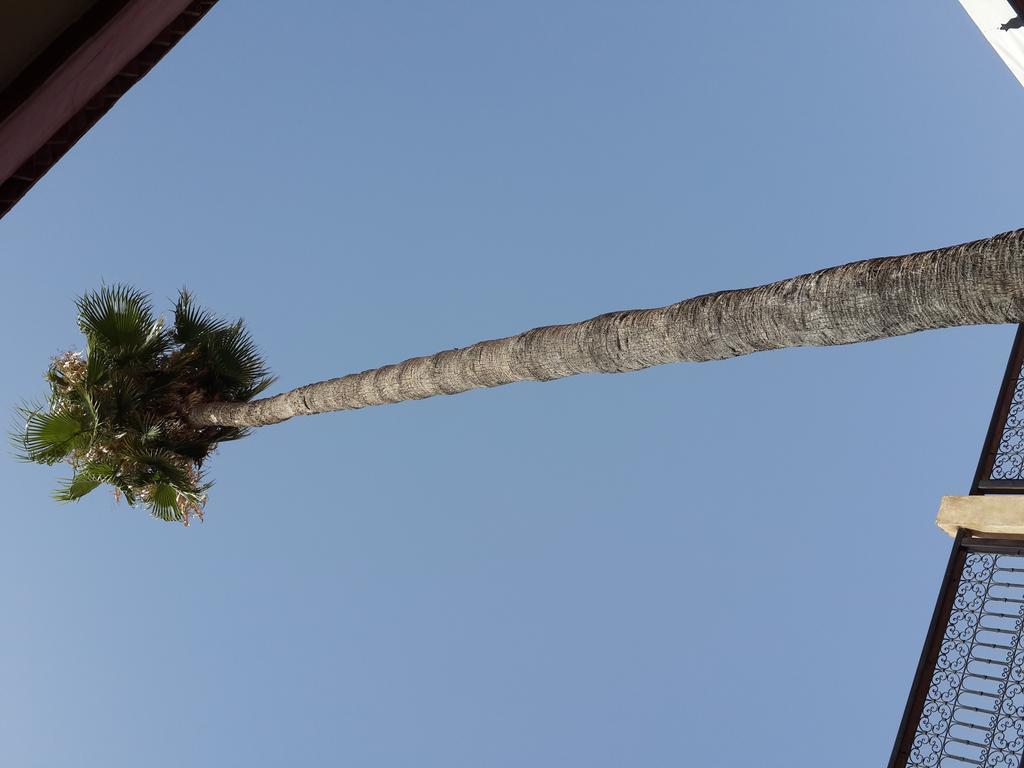 Hotel Cecil Marrakesh Exterior foto